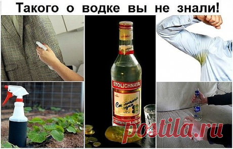 Такого о водке вы не знали! Жмите КЛАСС, сохраняйте в своей ленте.
20 вариантов использования ВОДКИ не по назначению