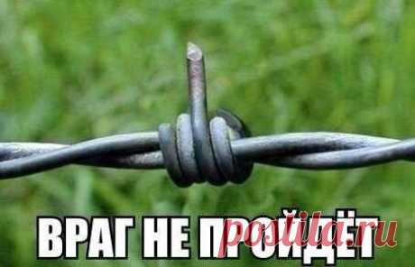 • Неприличные Анекдоты (18+) | Группы Мой Мир