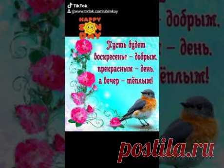 Позитивчик. Хорошего воскресного дня!