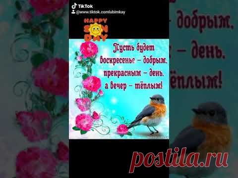 Позитивчик. Хорошего воскресного дня!