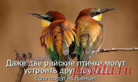 Недовольные люди.Притча