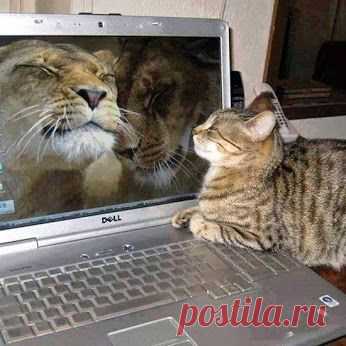 Google+