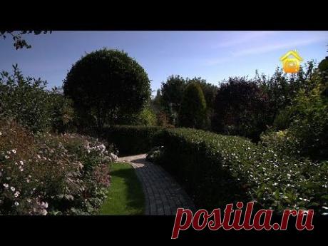 Сад ландшафтного дизайнера (ForumHouseTV)