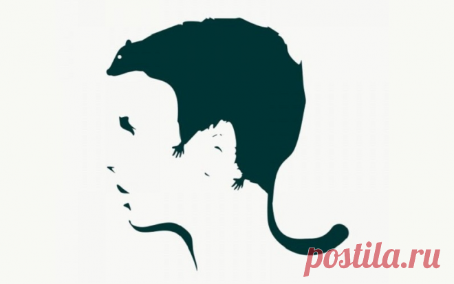 Что вы видите на этой картинке? Ваш ответ покажет, чего вы больше всего боитесь | Скиталец | Яндекс Дзен