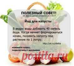 Огород