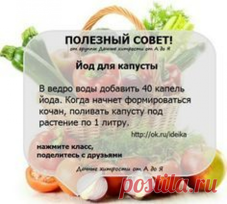 Огород