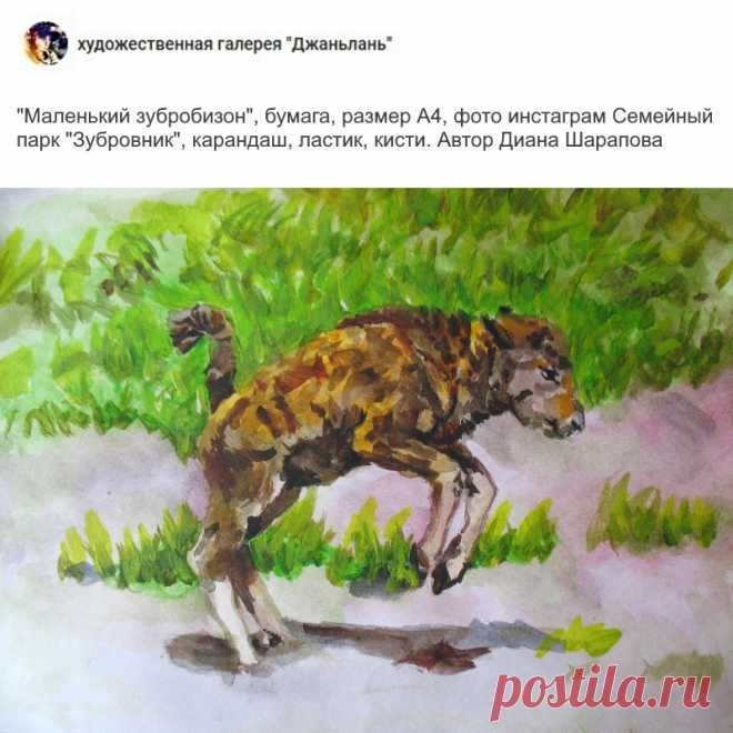 радел "зубробизоны"
