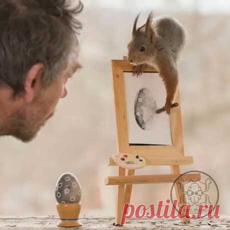 Шведский фотограф Герт Вегген (Geert Weggen) известен на весь мир своими сказочными фотографиями с участием белок. Он уже много лет фотографирует диких белок из окна своей кухни.

В импровизированном саду мужчина мастерит самые разные необычные декорации, раскладывает угощения и ждет пушистых моделей.
Фотограф рассказал, что 15 лет назад он построил свой дом с балконом в маленькой шведской деревне.

Он и не думал, что когда-то его балкон с садиком станет фотостудией для бе...