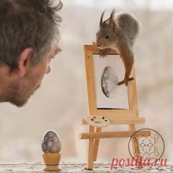 Шведский фотограф Герт Вегген (Geert Weggen) известен на весь мир своими сказочными фотографиями с участием белок. Он уже много лет фотографирует диких белок из окна своей кухни.

В импровизированном саду мужчина мастерит самые разные необычные декорации, раскладывает угощения и ждет пушистых моделей.
Фотограф рассказал, что 15 лет назад он построил свой дом с балконом в маленькой шведской деревне.

Он и не думал, что когда-то его балкон с садиком станет фотостудией для бе...