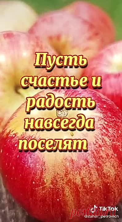 VID-20210819-WA0004.mp4