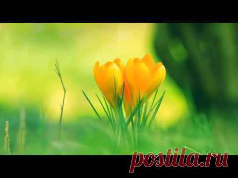 Ченнелинг 7.12.2014. Латуйя. Единение — функционирование с новой планетарной тканью. | Верхосвет