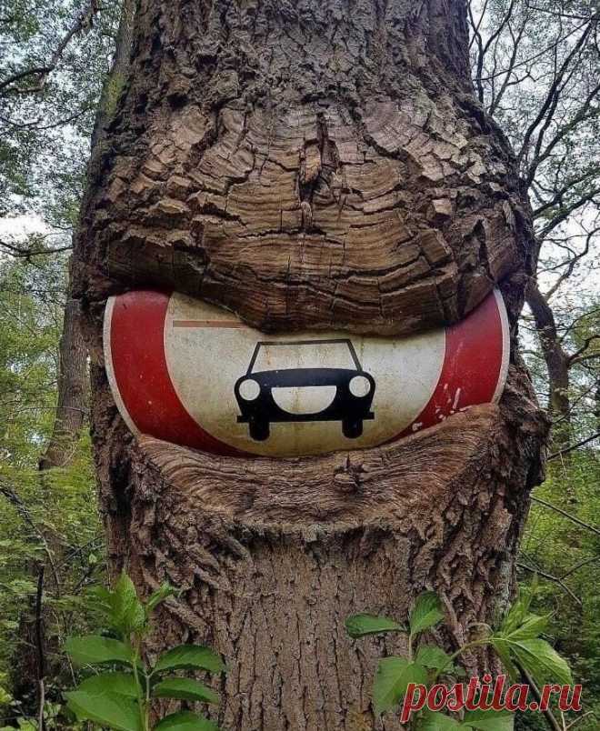 Bizarre-Art-Pic. (@hominemXV) / Twitter