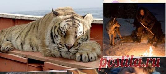 Самые верные друзья: лучшие фильмы о том, как животные спасают людей. В жизни иногда происходят события, связанные с домашними питомцами или даже с дикими зверями, которые поражают. Наша подборка фильмов – о них.