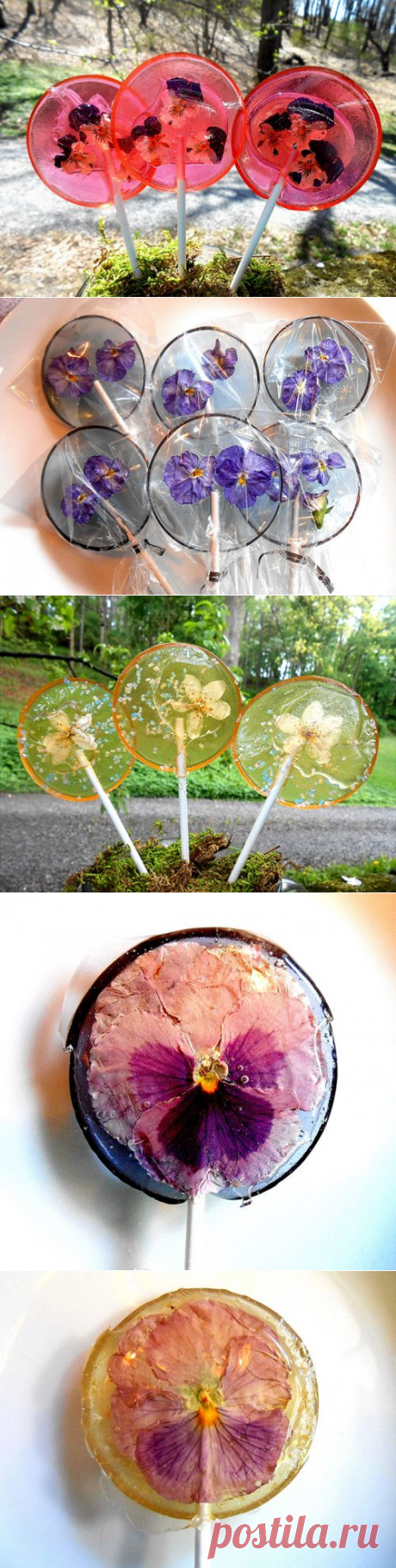 Леденцы на палочке со съедобными цветками (14 фото)