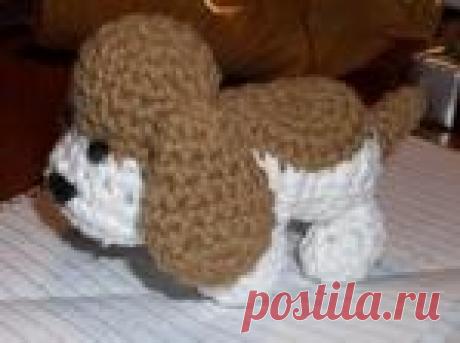 Маленькая собачка