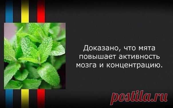 16 полезных лайфхаков на все случаи жизни