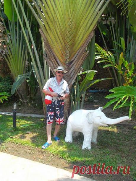 Поездка в Тайланд на остров Чанг (пляжный отдых) - liudm.se2012 — я.ру