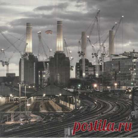 Pink Floyd – Animals: 2018 Remix (180g LP) – Viking Records Ltd