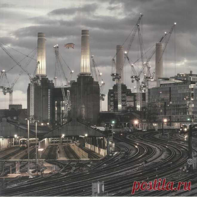 Pink Floyd – Animals: 2018 Remix (180g LP) – Viking Records Ltd