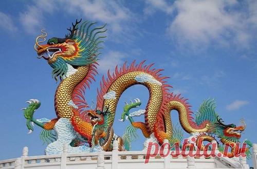 Драконы — одни из самых популярных в мире мифических существ. Мифы и легенды об этих монстрах есть во многих культурах от Америк и Европы до Индии и Китая. Их необычная история длинна и богата формами. По сей день они населяют книги, фильмы и сериалы.