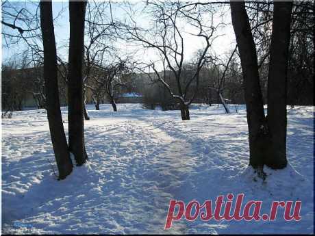 Смоленск Зимний парк