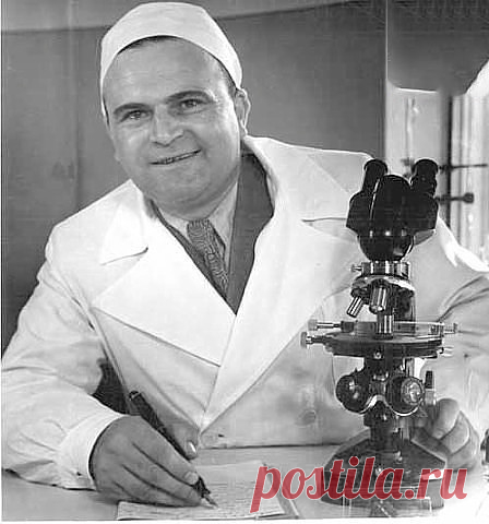 (33) Одноклассники Асд-2