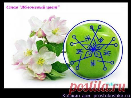 Став Яблоневый цвет для улучшения внешности
Став для улучшения внешности, похудения, омоложения.

В основе - схема внутреннего строения яблока.