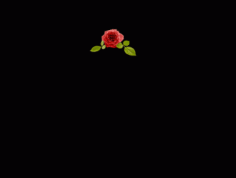 3631bb3ee6645d5a6c2c8872f7bdb23c.jpg (346×260)