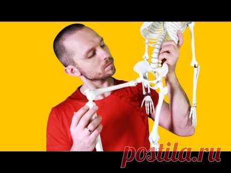БОЛЯТ СУСТАВЫ? ЛЕЧИ МЫШЦЫ! ⭐ SLAVYOGA
