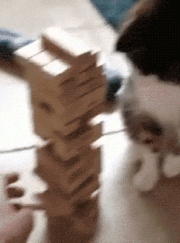 Интересно - 50 GIF-доказательств, что коты — чертовски весёлые ребята