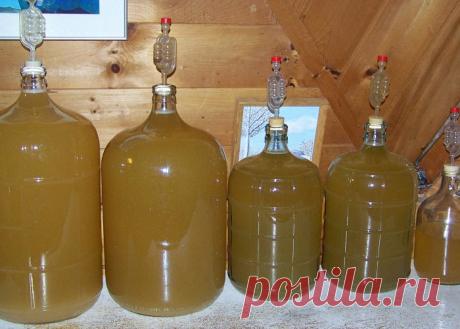 Вино из груш: рецепт, как сделать домашнее вино из груши