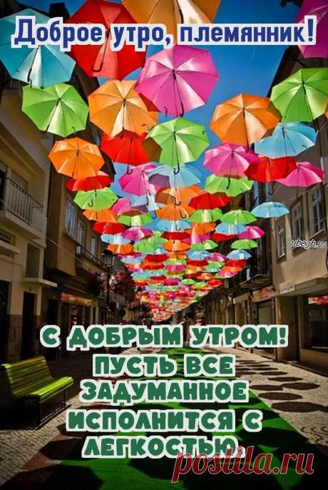 «Доброе утро племянник!»