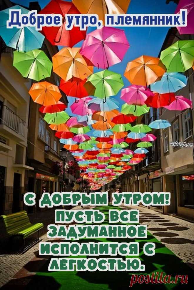 «Доброе утро племянник!»