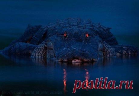 Наше время - познавательный журнал