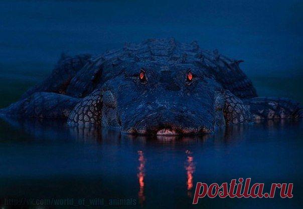 Наше время - познавательный журнал