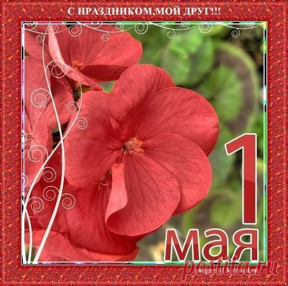 Поздравления с праздником! | Самоцветик