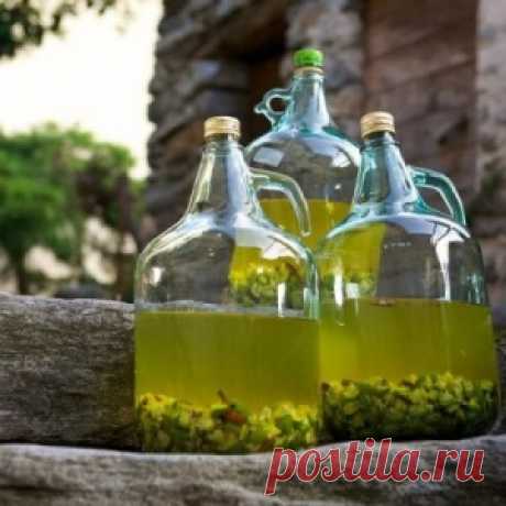 Хорош, крыжовник! Делаем вкуснейшие крыжовниковые наливки и ликеры