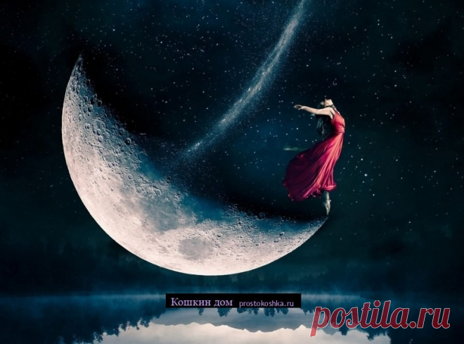 Ритуал от неудач на убывающей луне | Кошкин дом Как только после заката Солнца на небе появится Луна, нужно выйти на улицу (или стать у открытого окна), поднять руки к ночному светилу и рассказать обо