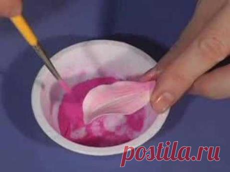 ▶ Cake Decorating-"Sugar Orchids"-Scott Clark Woolley - YouTube