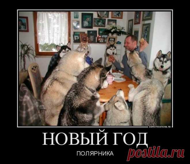 С Новым годом! / Писец - приколы интернета