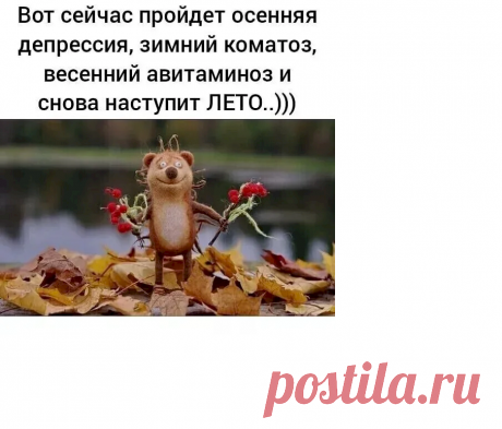 ce540fe9.png (905×774)