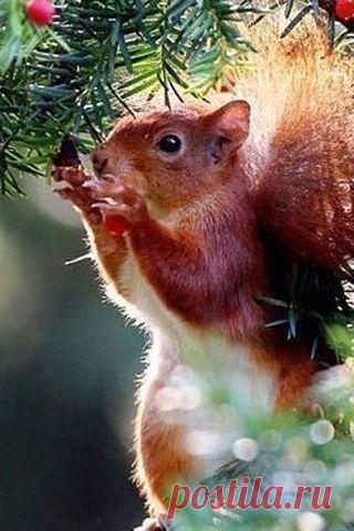 Комментарии к теме