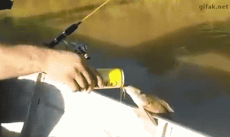 external_gif gif