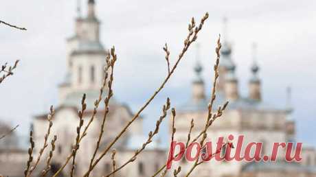 Вербная неделя в 2022 году по дням
Вербная неделя – шестая неделя Великого поста, предшествует Страстной неделе.  Она заканчивается двумя значимыми для верующих праздниками – Лазаревой субботой и Вербным воскресеньем. «Комсомолка» рассказывает, какого числа начинается Вербная неделя в 2022 году и чем примечателен каждый из ее дней Вербная неделя. Фото: pixabay.com Вербное воскресенье – один из главных христианских праздников. Входит в число […]
Читай пост далее на сайте. Жми ⏫ссылку выше