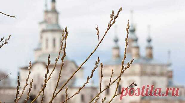 Вербная неделя в 2022 году по дням
Вербная неделя – шестая неделя Великого поста, предшествует Страстной неделе.  Она заканчивается двумя значимыми для верующих праздниками – Лазаревой субботой и Вербным воскресеньем. «Комсомолка» рассказывает, какого числа начинается Вербная неделя в 2022 году и чем примечателен каждый из ее дней Вербная неделя. Фото: pixabay.com Вербное воскресенье – один из главных христианских праздников. Входит в число […]
Читай пост далее на сайте. Жми ⏫ссылку выше