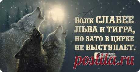 * * * * * * * * * * * *