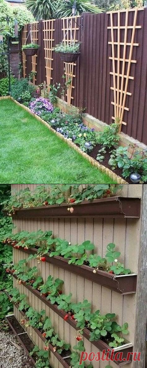 Интересные идеи для сада и огорода — Сделай сам, идеи для творчества - DIY Ideas