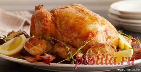 12 вкуснейших рецептов курицы