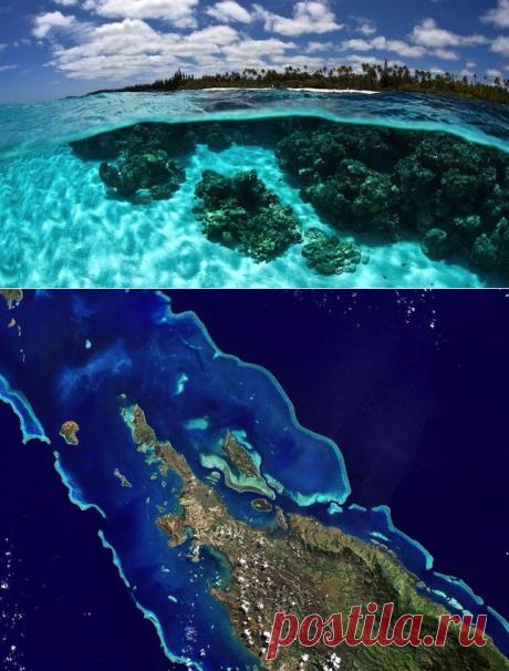 Создан крупнейший природный заповедник на Земле