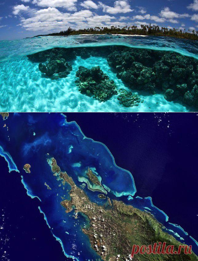 Создан крупнейший природный заповедник на Земле